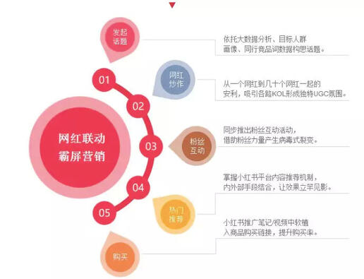 玩轉(zhuǎn)社交電商，小紅書種草六五攻略